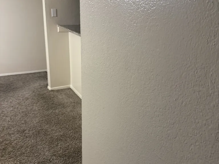 9621 Walnut St #6203 — Photo 10
