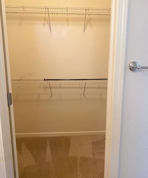 6517 Peppergrass Dr — Photo 19