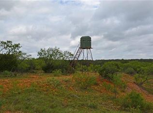 14553 Fm 207, Ranger, TX 76470