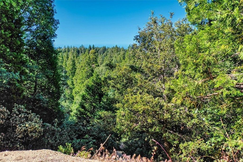 29305 Pine Dr, Cedar Glen, CA 92321 MLS EV23132597 Zillow