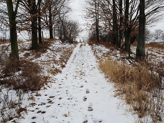 20190123_150411