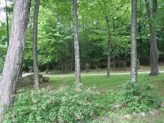 Mature Trees/Plantings