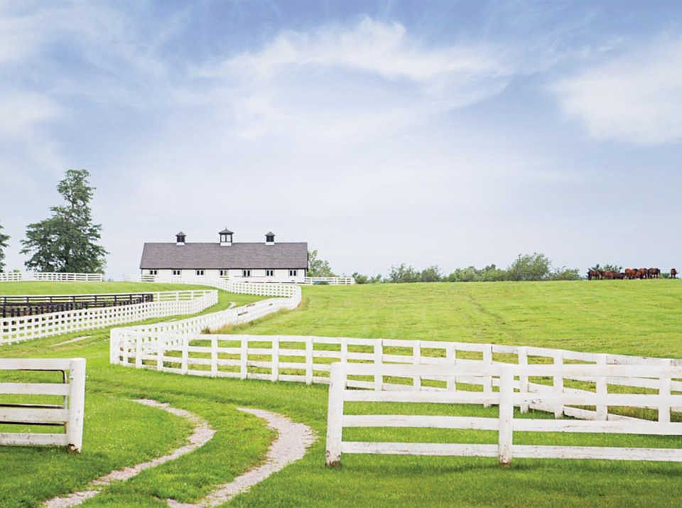 3591 Paris Pike, Lexington, KY 40511 Zillow