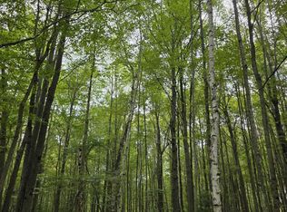 S Chippewa St, Mount Pleasant, MI 48858