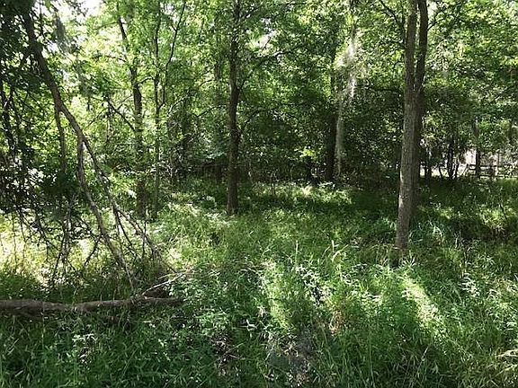 3rd image of 3603 Wellspring Lake Dr