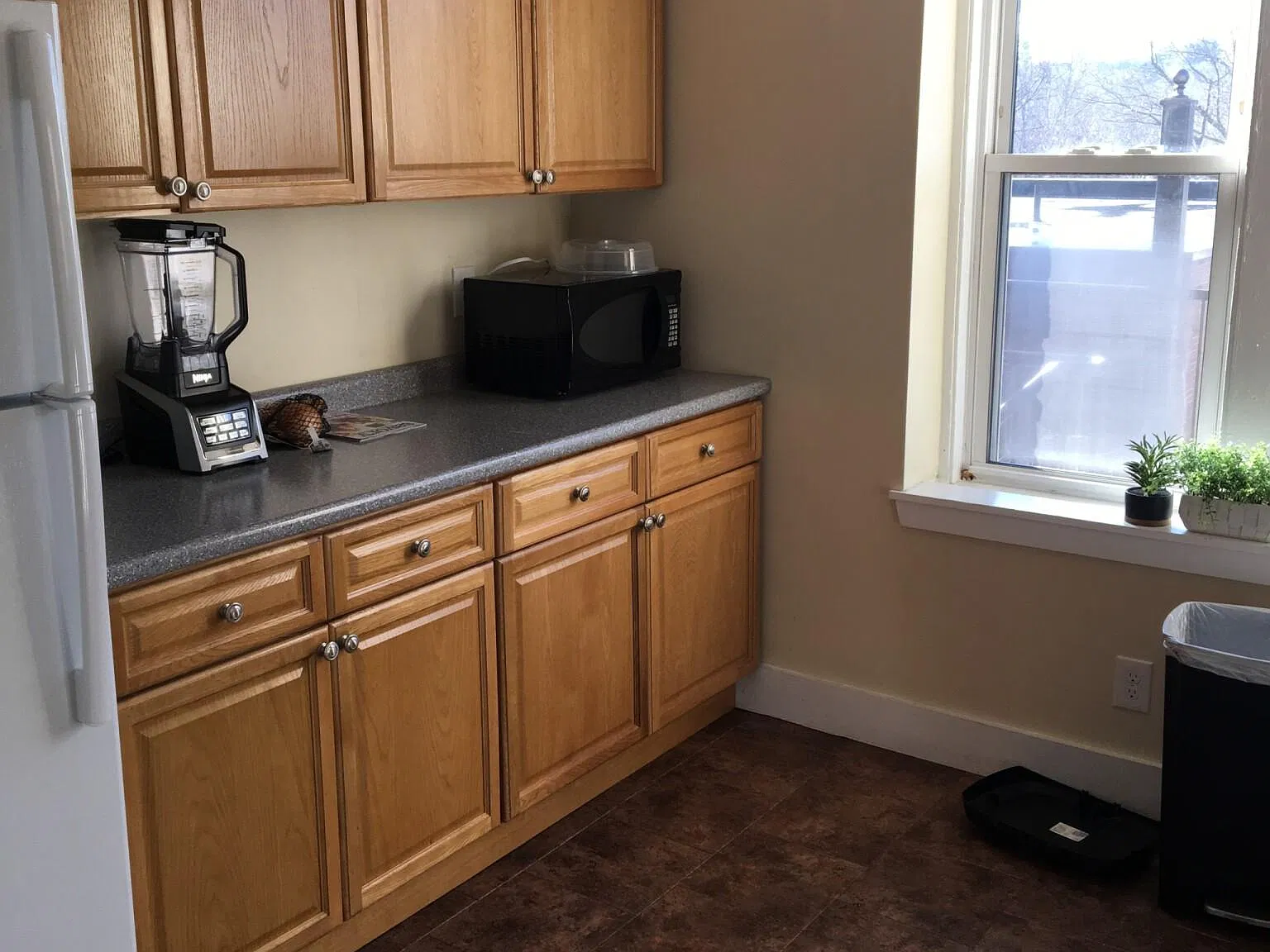 3 bed, 1.5 bath, 900 sqft, $3,650 — Photo 2