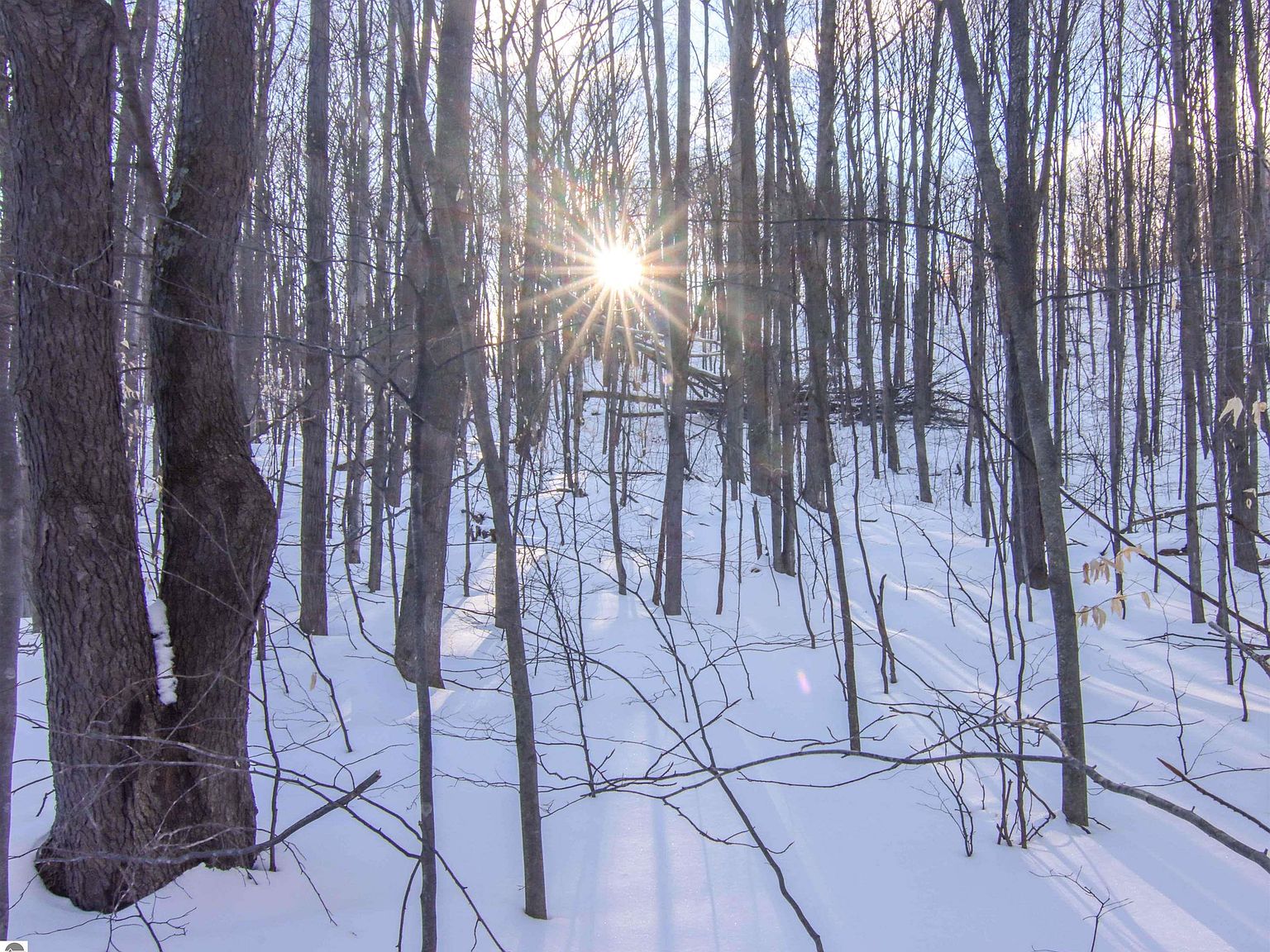 0 Mountain Woods Dr UNIT 44, Thompsonville, MI 49683 Zillow