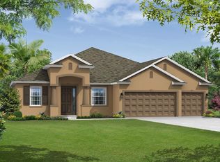 11631 Iris Spring Ct, Riverview, FL 33579