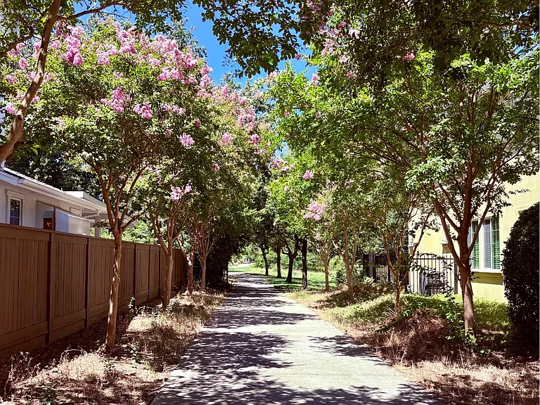 Scenic tree-lined path next to home