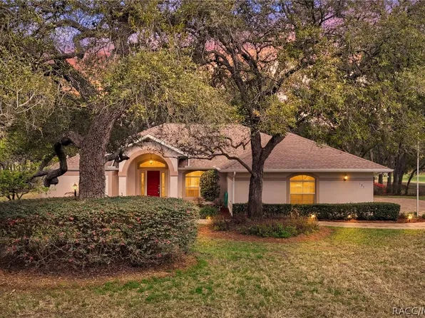 197 E Joplin Ct, Hernando, FL 34442