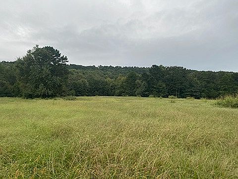 5th image of 549 Wiggins Dr