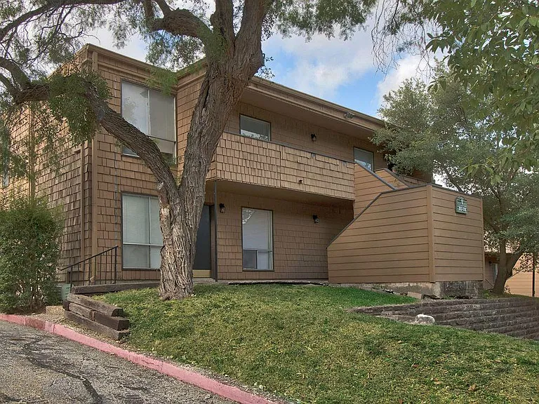 Treehouse Apartments — Photo 4