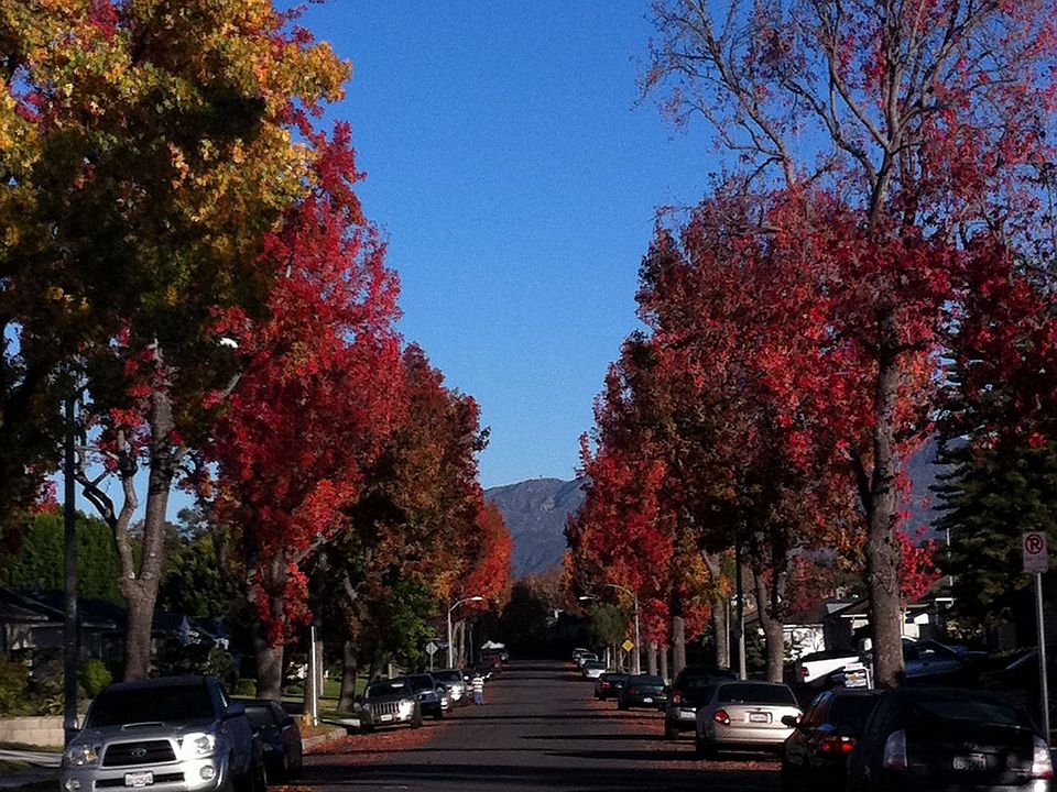 legion lane