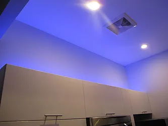 Rented by P Management