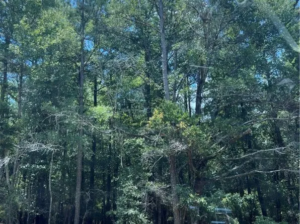 0 Bates Road, Waynesboro, GA 30830