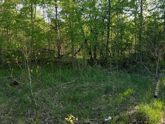 4th image of 384 County Rd