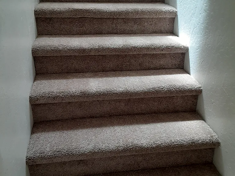 The steps upstairs /new carpet
