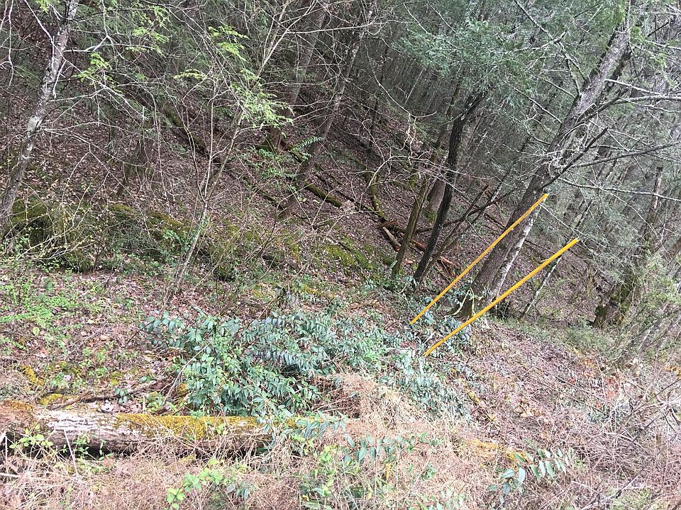2nd image of Mossy Cove Way