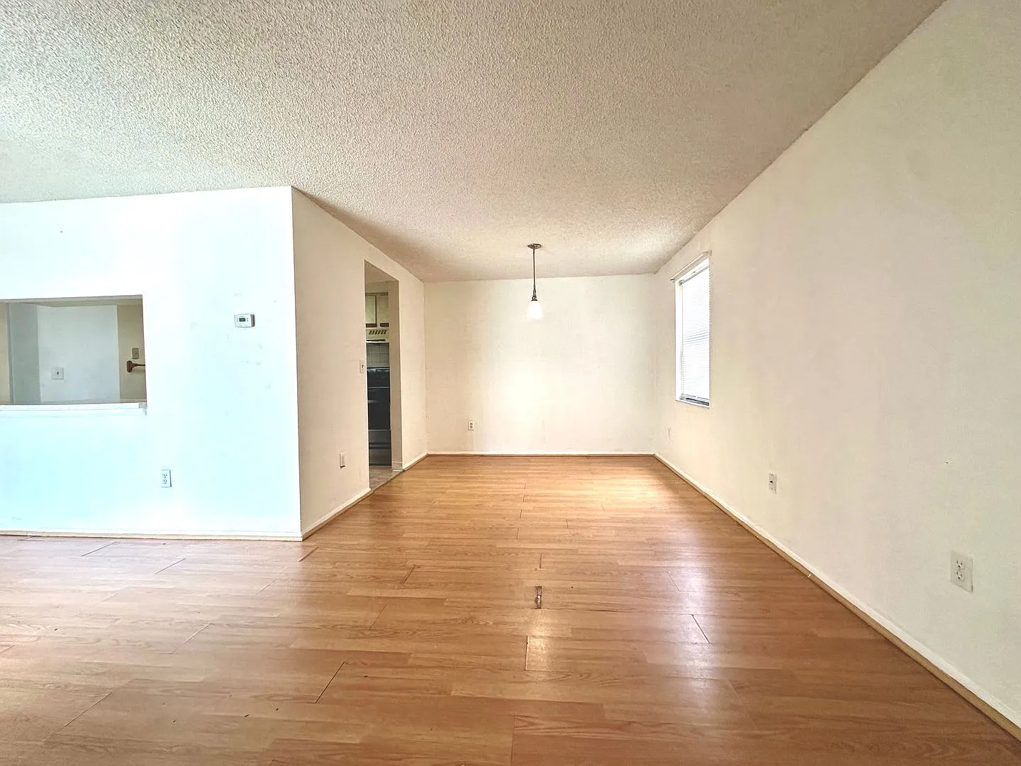 2BD/2BA Ground Floor Unit, Oldsmar — Photo 3
