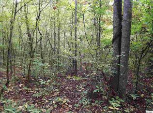 515 Country Square Rd, Newport, TN 37821