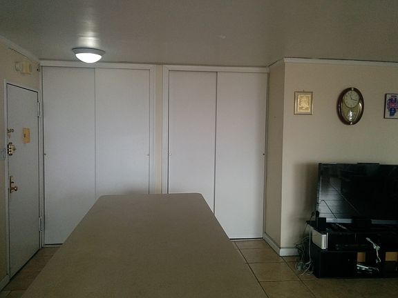 Living Room Closet