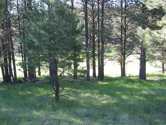 3rd image of Woodlands Dr