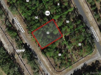 9825 N Odessa Way, Citrus Springs, FL, 34434