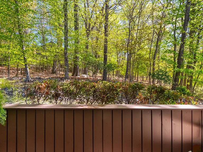 138 Indian Hollow Ct — Photo 38