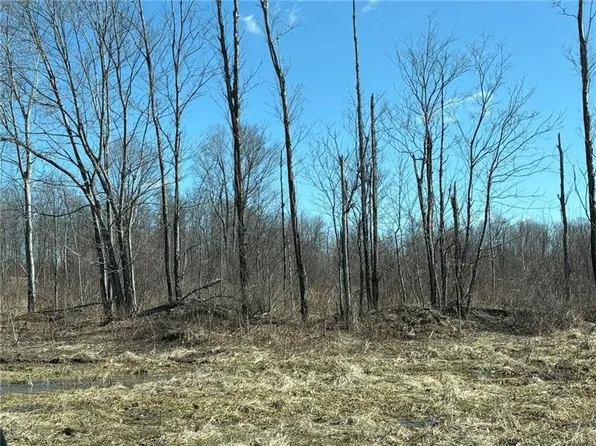 LOT Auction Ln #E/w, Seward, PA 15954