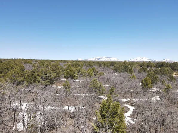 De Oro Way, Hesperus, CO 81326