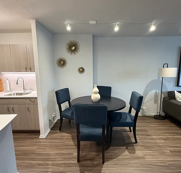 1135 N Dearborn St #402 — Photo 3