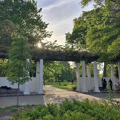 Rented by City Vista Inc | media 68