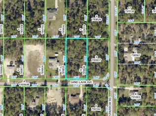 10471 Sand Lark Ave, Brooksville, FL 34614