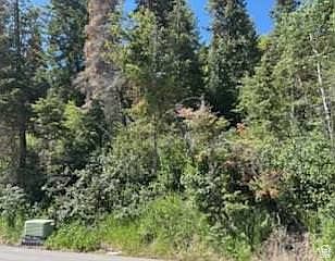 3rd image of 390 Aspen Dr