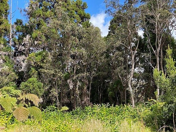 5th image of 19-4096 Anuhea Cir Lot 18