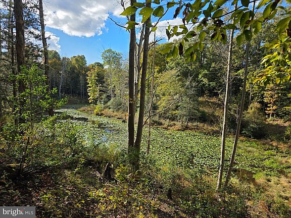 2nd image of Spindles Mill Pond Rd