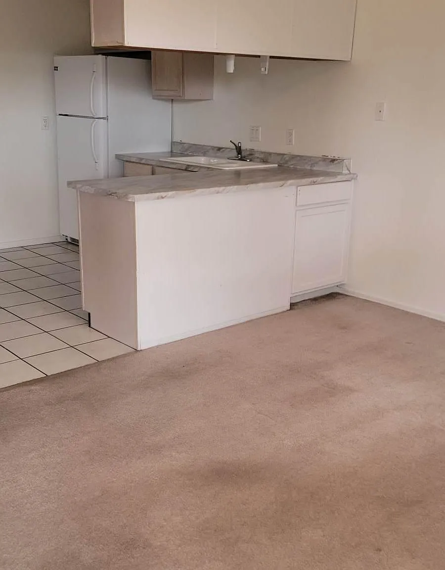 1 bed, 800 sqft, $725 — Photo 2