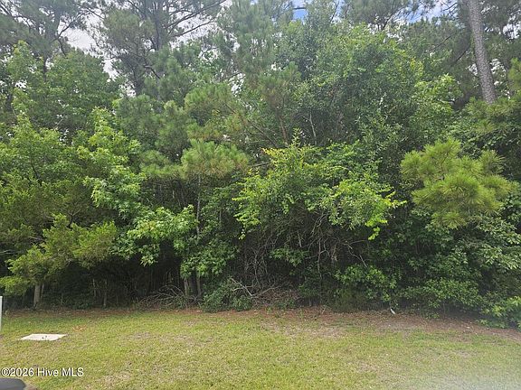 3rd image of 1802 Arctic Tern Court LOT 227
