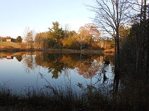 2nd image of 2133 Danville Tpke