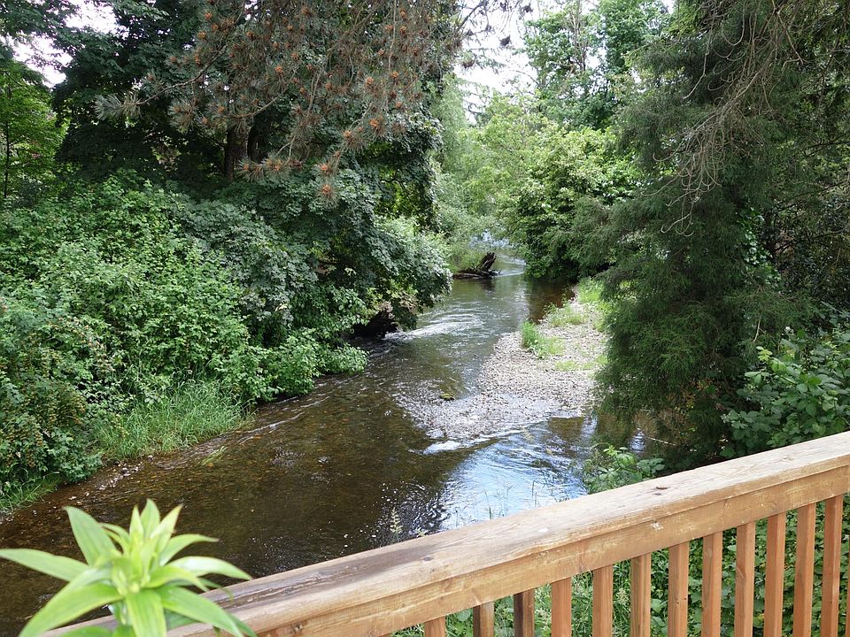 Down the creek to the Rt.