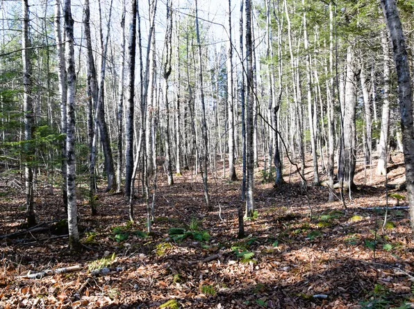 M7 L19-5 Pine Bluff Road, Embden, ME 04958