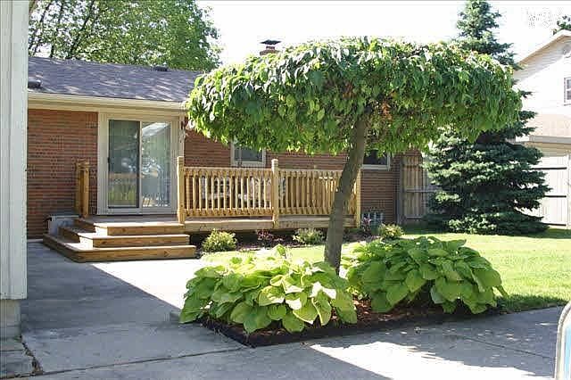 2nd image of 1308 McCormick Dr