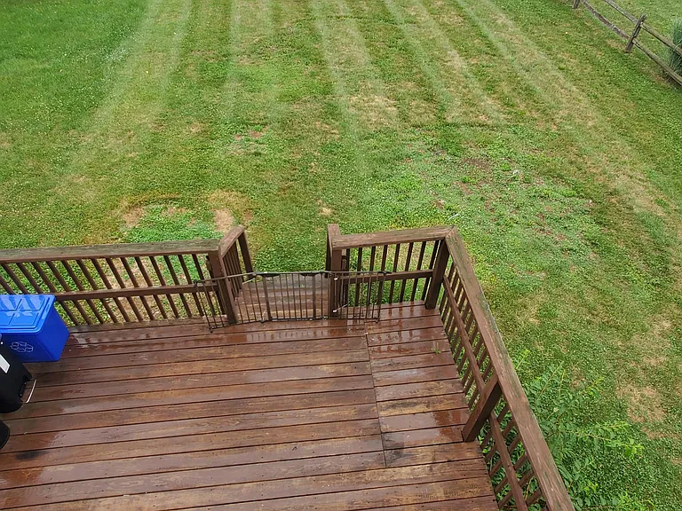 667 Walnut Tree Dr #1 — Photo 19