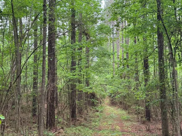 2780 Jackson Liberty Rd SW, Bogue Chitto, MS 39629