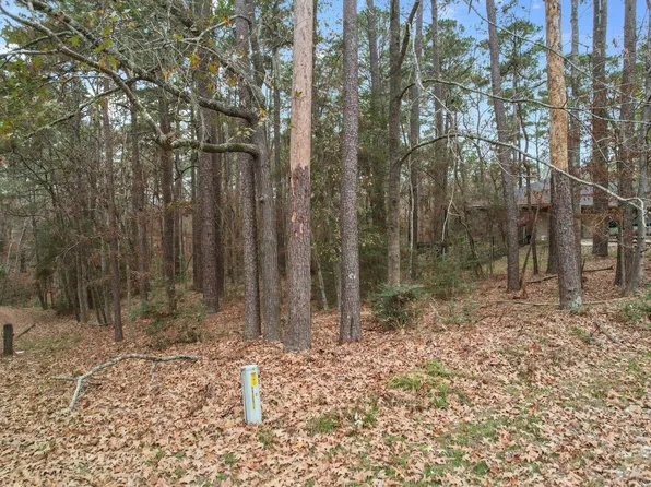 219 Kings Way, Coldspring, TX 77331