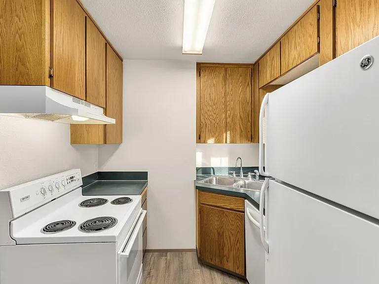 Belay 4 Plex (3183) — Photo 11