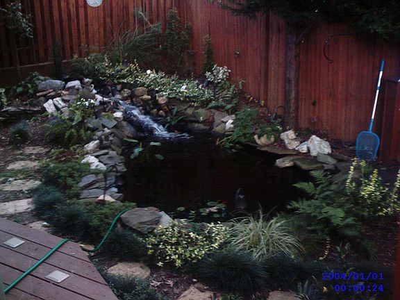 Pond with waterfall