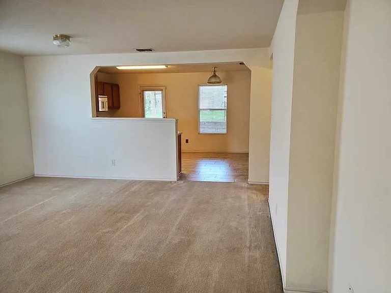 25714 Gold Yarrow — Photo 3