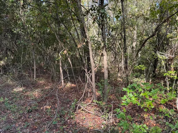 0 Foxfield Rd, Walterboro, SC 29488