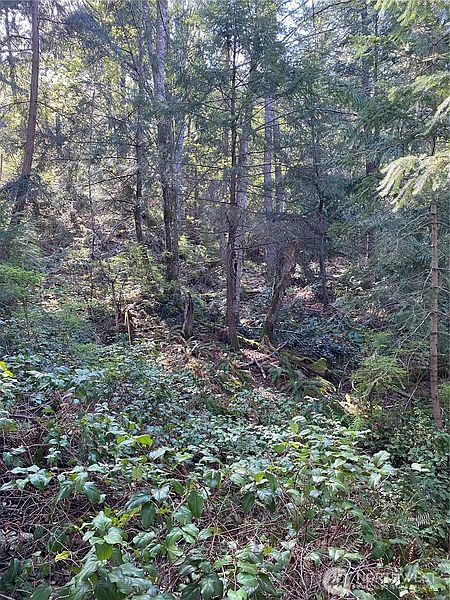 4th image of 2861 Aiston Creek Rd